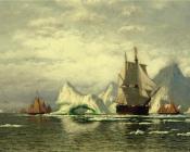 Arctic Whaler Homeward Bound Among the Icebergs - 威廉·布雷德福